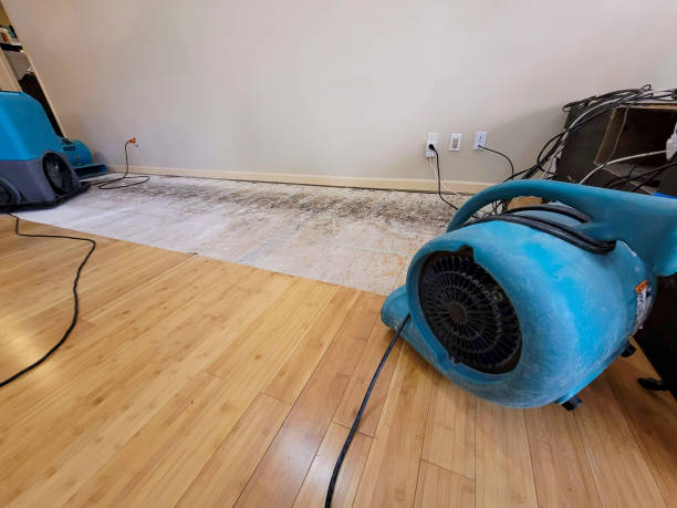 Professional Structural Drying technician working in Plainview, TN